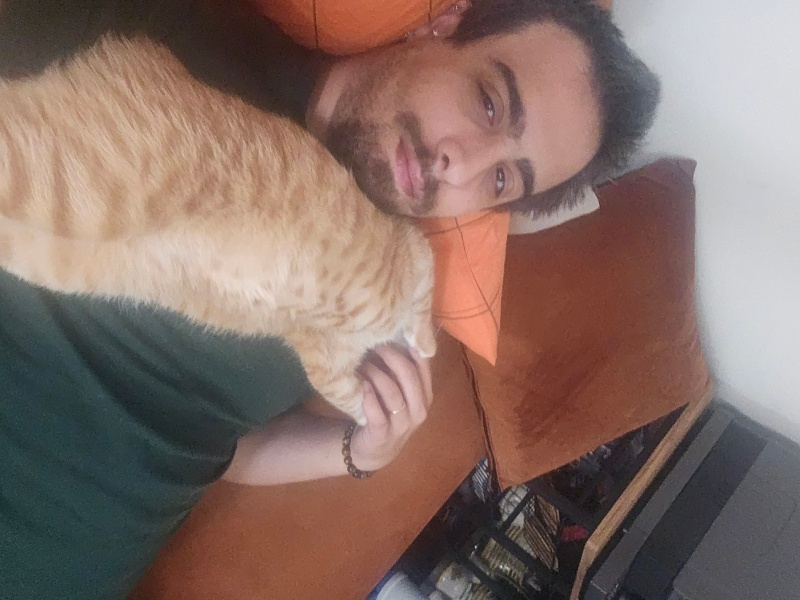 Tekir Kedi, Kedi  Nonni fotoğrafı