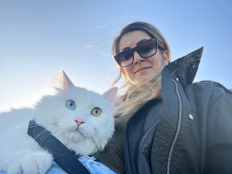 Ankara Kedisi, Kedi  Octavianus Augustus fotoğrafı