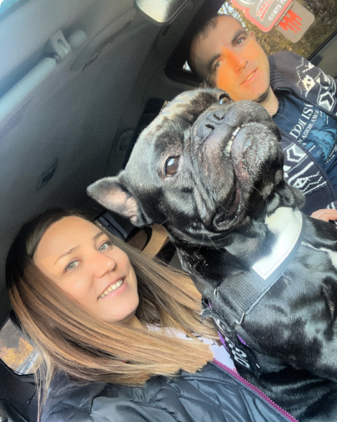 Fransız Bulldog, Köpek  Leo fotoğrafı