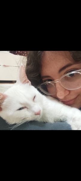 Van Kedisi, Kedi  Lunok fotoğrafı