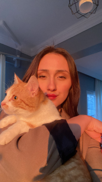 Sarman, Kedi  Venüs fotoğrafı