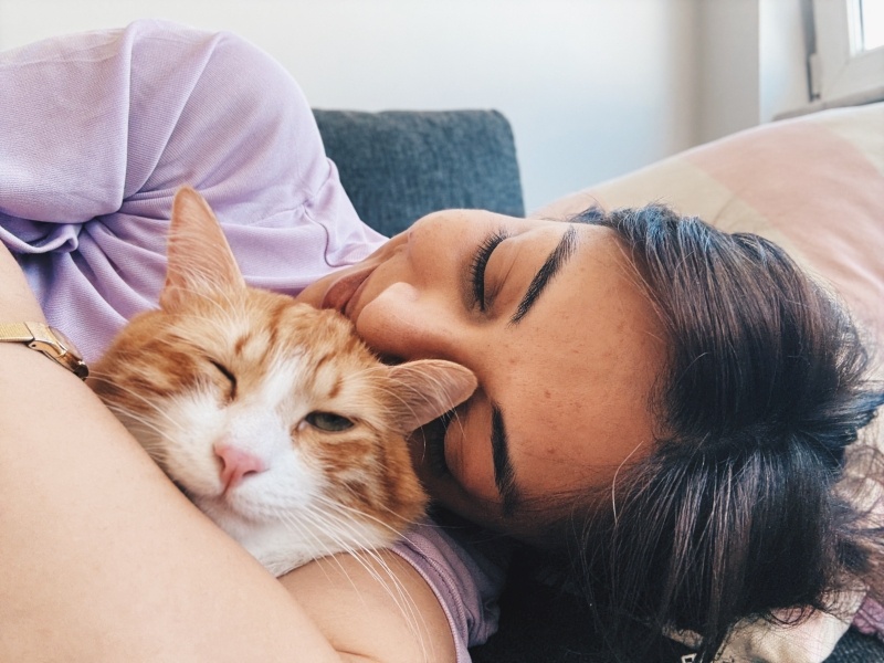 Sarman, Kedi  Suki fotoğrafı