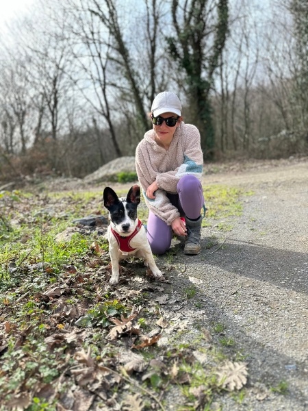 Jack Russell Terrier, Köpek  Ceku fotoğrafı