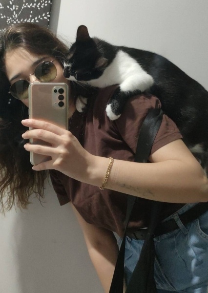 Tuxedo (Smokin) Kedi, Kedi  Robin fotoğrafı