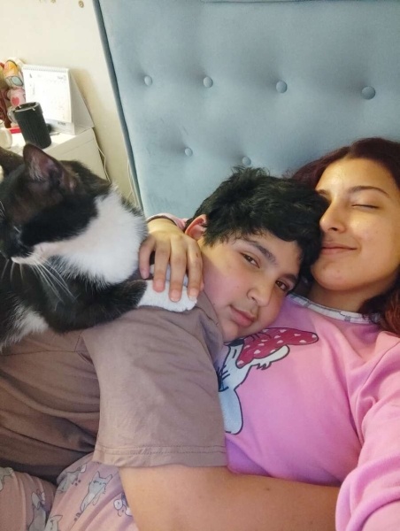 Tekir Kedi, Kedi  Cesur ve maviş fotoğrafı