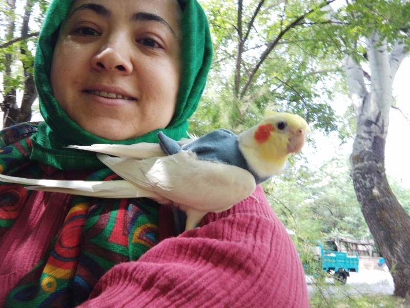 Papağan, Kuş  Zoziş fotoğrafı