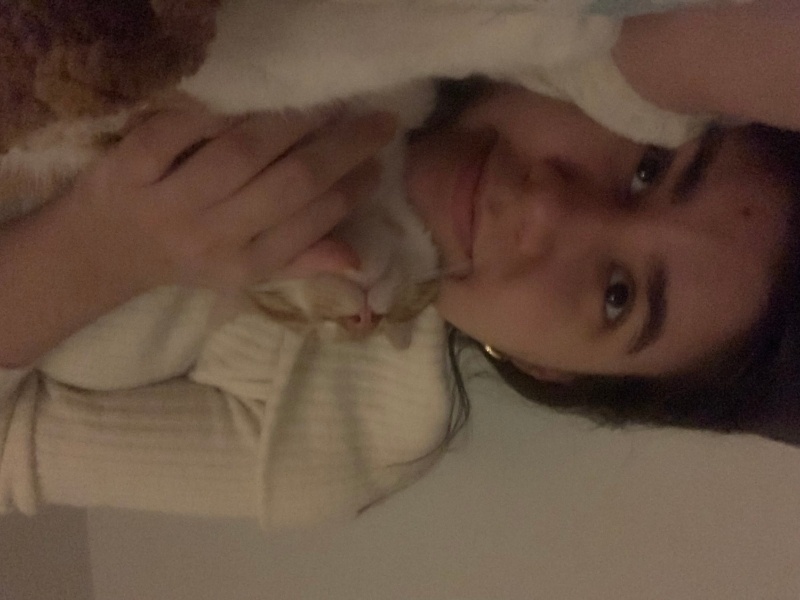 Tekir Kedi, Kedi  Lucky fotoğrafı