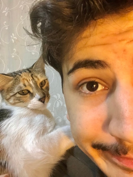 Tekir Kedi, Kedi  Nina fotoğrafı