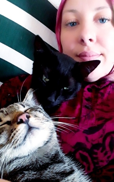 Tekir Kedi, Kedi  Lokum ve zeytin fotoğrafı