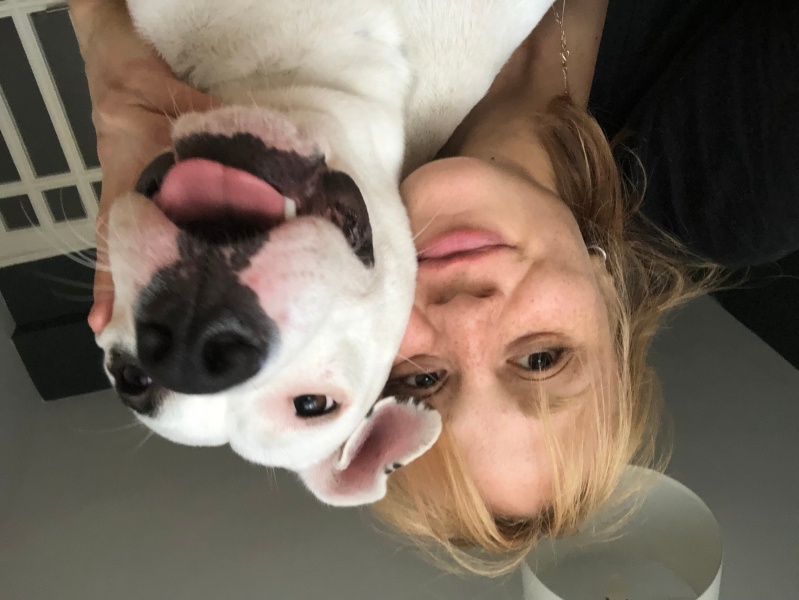 Dogo Arjantin, Köpek  Audrey fotoğrafı