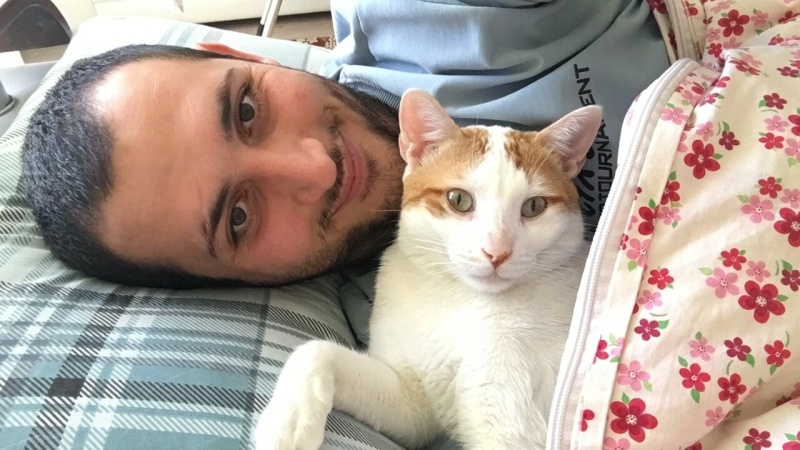 Sarman, Kedi  Balım fotoğrafı