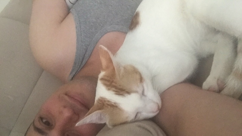 Sarman, Kedi  Balım fotoğrafı