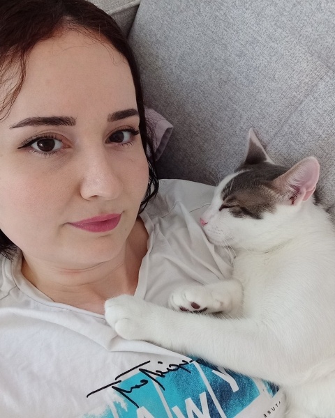 Tekir Kedi, Kedi  PAŞA fotoğrafı