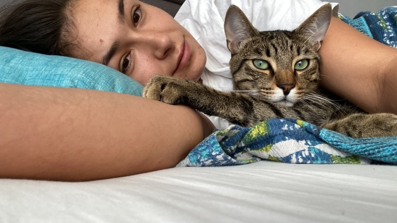 Tekir Kedi, Kedi  Leo fotoğrafı