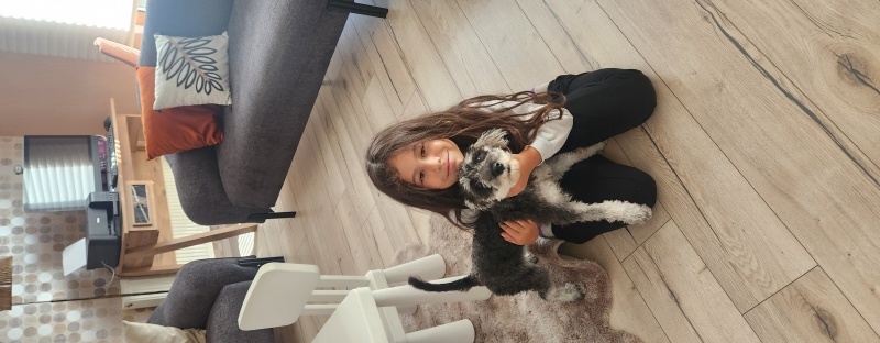Minyatür Schnauzer, Köpek  Cookie fotoğrafı