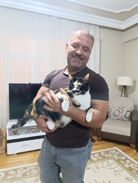 Tekir Kedi, Kedi  Mıncır fotoğrafı