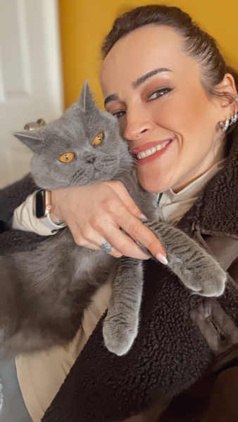 British Shorthair, Kedi  Casper fotoğrafı