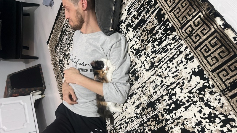 Chinchilla, Kedi  Mia fotoğrafı