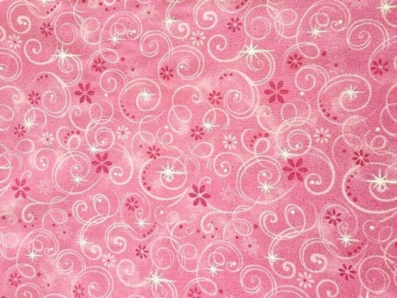 Tuxedo (Smokin) Kedi, Kedi  robin fotoğrafı