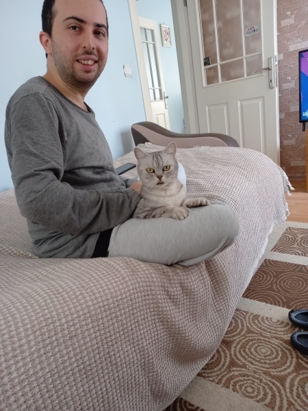 British Shorthair, Kedi  Nazlı fotoğrafı