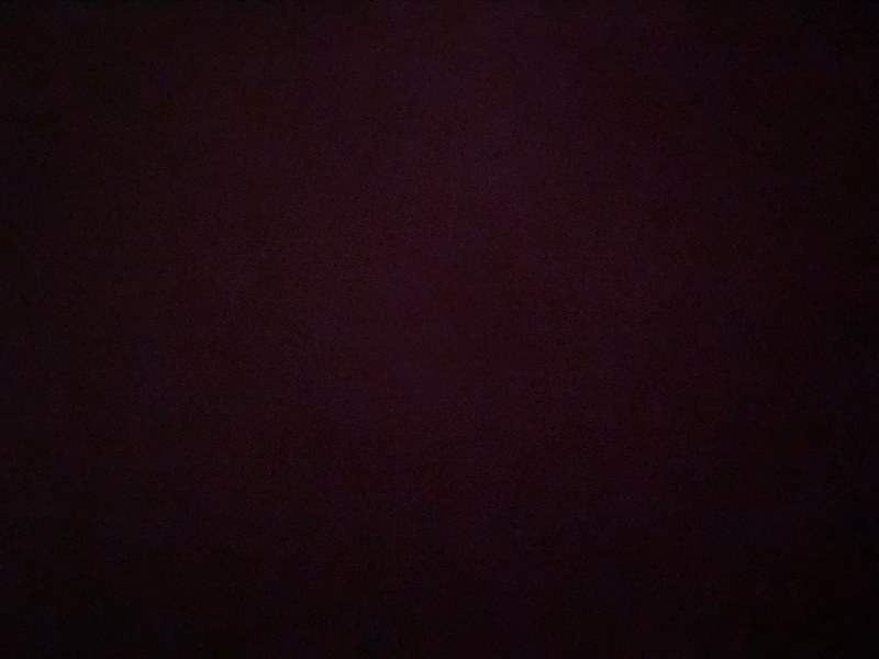 Tekir Kedi, Kedi  Minni fotoğrafı