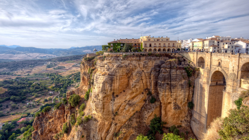 British Longhair, Kedi  Casper fotoğrafı