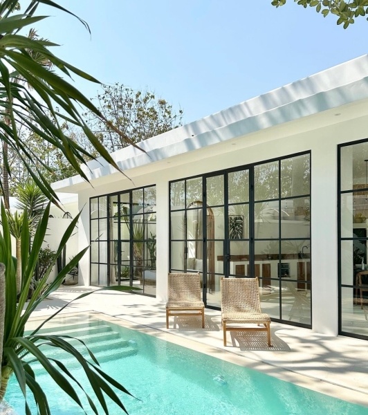 Doberman Pinscher, Köpek  Dino fotoğrafı