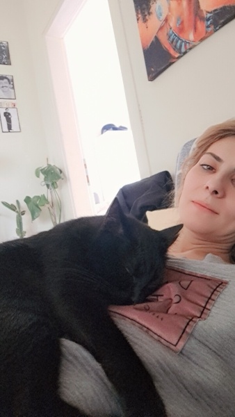 Bombay, Kedi  Gece fotoğrafı