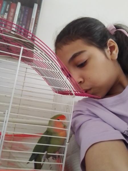 Papağan, Kuş  Yaprak fotoğrafı