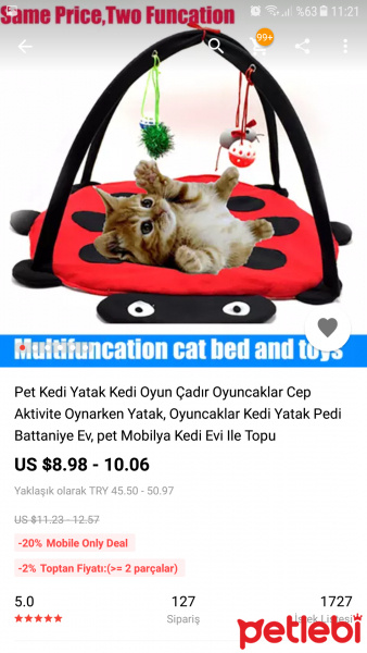 Ankara Kedisi, Kedi  Zeze fotoğrafı