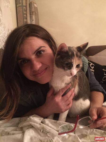 Tekir Kedi, Kedi  prenses fotoğrafı