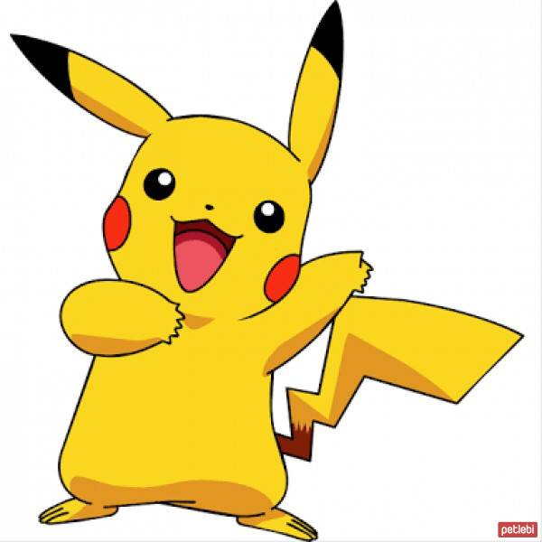 Bombay, Kedi  Pikachu fotoğrafı