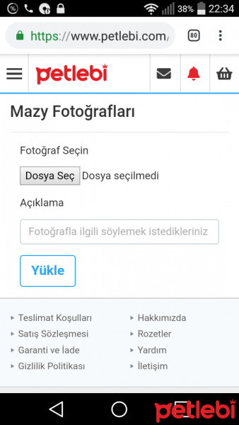 Sokö (Sokak Köpeği), Köpek  Mazy fotoğrafı
