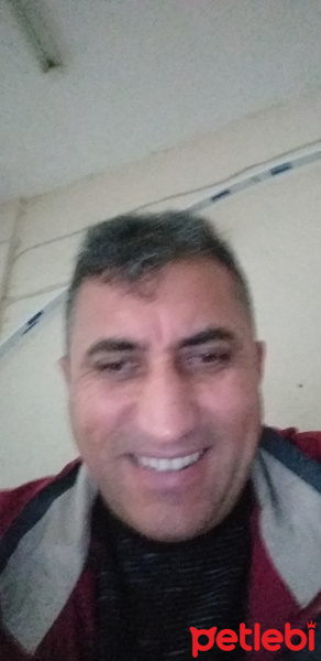 Akbaş, Köpek  Cani fotoğrafı