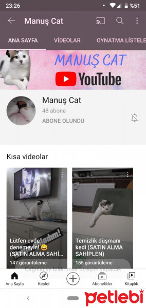 Tekir Kedi, Kedi  Manuş fotoğrafı