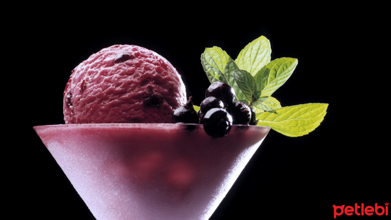 Tekir Kedi, Kedi  Miyuki fotoğrafı