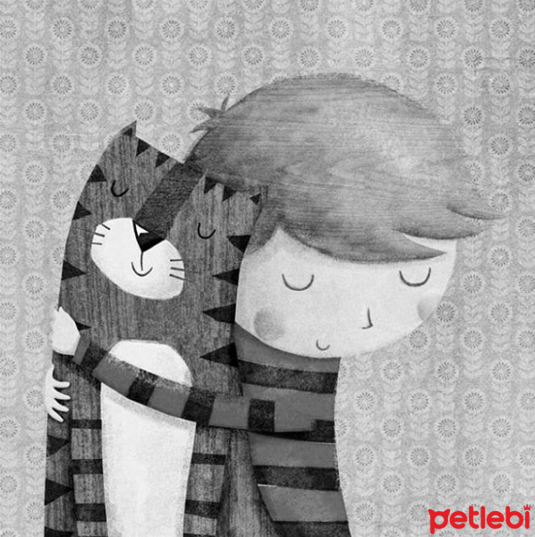 British Shorthair, Kedi  Julliet fotoğrafı