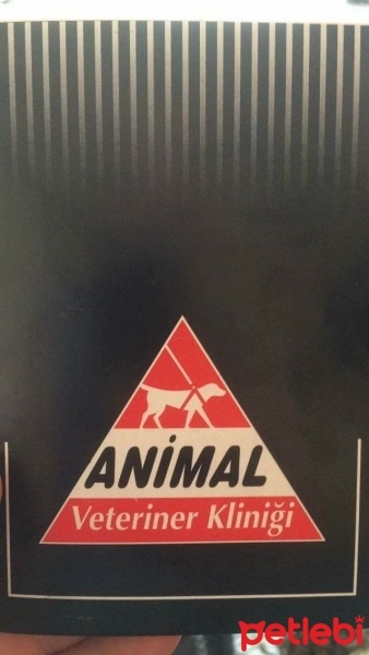 Tekir Kedi, Kedi  Rıza fotoğrafı