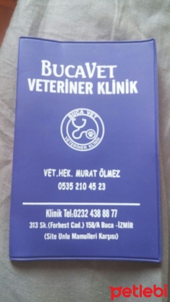 Tekir Kedi, Kedi  Oscar fotoğrafı