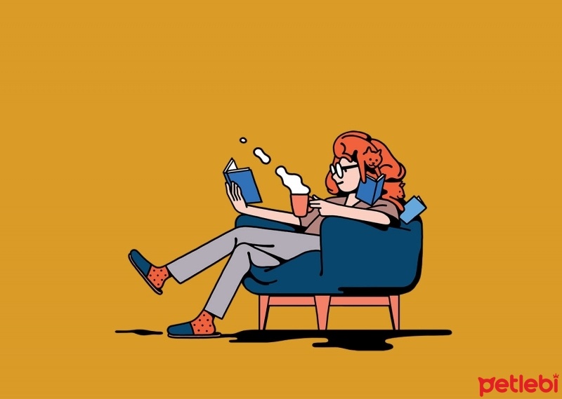 Tekir Kedi, Kedi  Müfit fotoğrafı