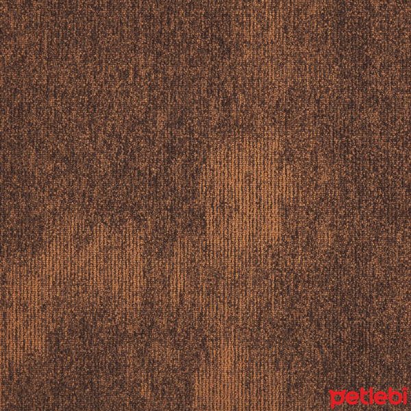 Sarman, Kedi  Behlül fotoğrafı