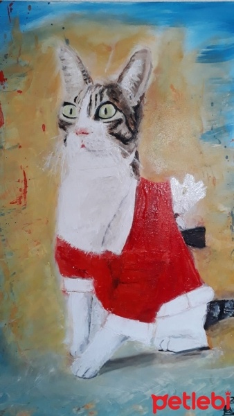 Tekir Kedi, Kedi  LATTE fotoğrafı
