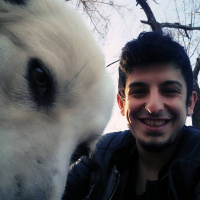 Alaskan Malamute, Köpek  GOFRET fotoğrafı
