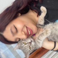 Tekir Kedi, Kedi  Şila fotoğrafı