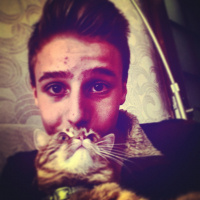 Tekir Kedi, Kedi  Şirin fotoğrafı