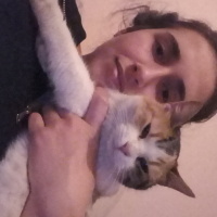 Soke, Kedi  Bal fotoğrafı