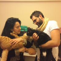  Kedi  Ramiz ve firat fotoğrafı