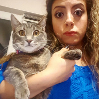 Tekir Kedi, Kedi  Afrodit  fotoğrafı