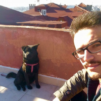 Chow Chow (çin Aslanı), Köpek  LİNDA fotoğrafı