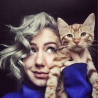 Tekir Kedi, Kedi  Behlül fotoğrafı